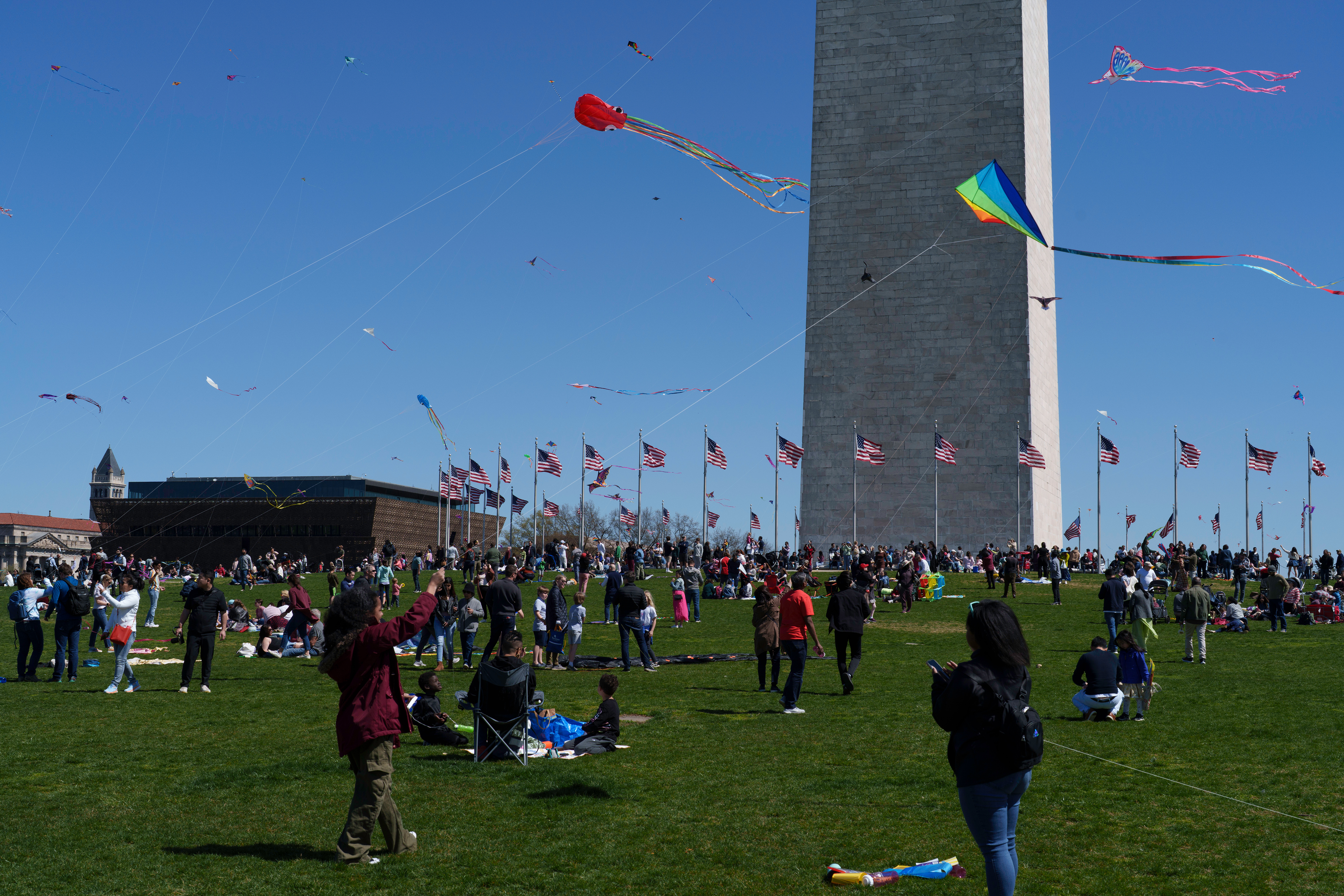 Kite Festival